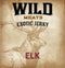 Exotic Stick - Elk
