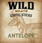 Exotic Stick - Antelope